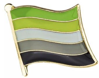 LGBTQA Aromantic flag lapel pin