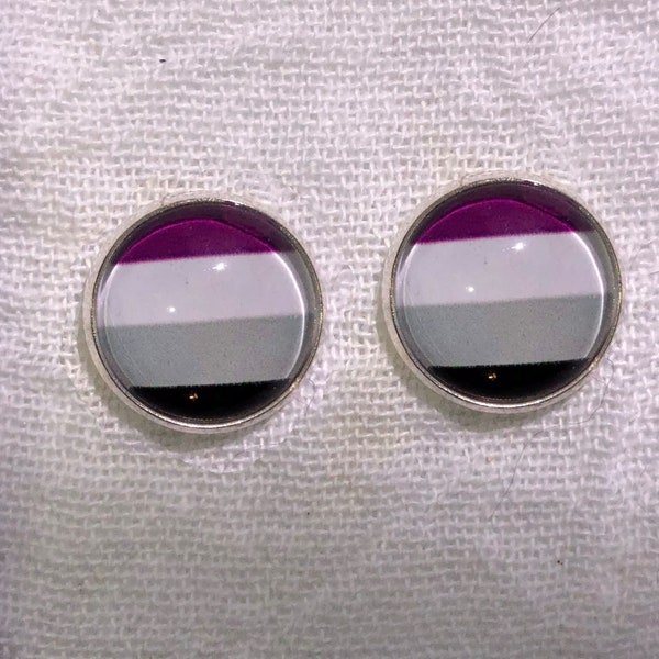 LGBTQA Asexual flag earrings