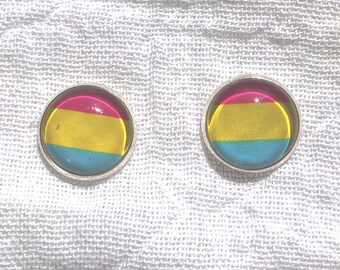 LGBTQA Pansexual flag earrings