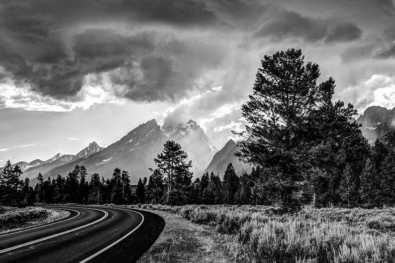 May include: Black and white landscape photograph of a winding road leading towards a mountain range under a cloudy sky. Trees and grassy areas line the road. The image is a scenic view of nature.