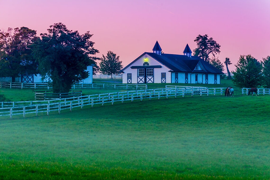 Kentucky Bluegrass, Horse Farm, Colorful Sunrise, Misty Morning Light