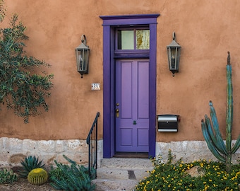 Desert Southwest Art, Arizona Photography, Tucson Door, Barrio Viejo, Cactus, Sonoran, Adobe Architecture, Color, Wall Decor, Fine Art Photo