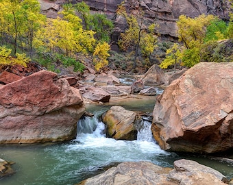 Zion Photography, Virgin River, Fall Autumn, National Park Art, Utah Landscape, Desert Southwest, Photo Picture Print, Home Wall Decor
