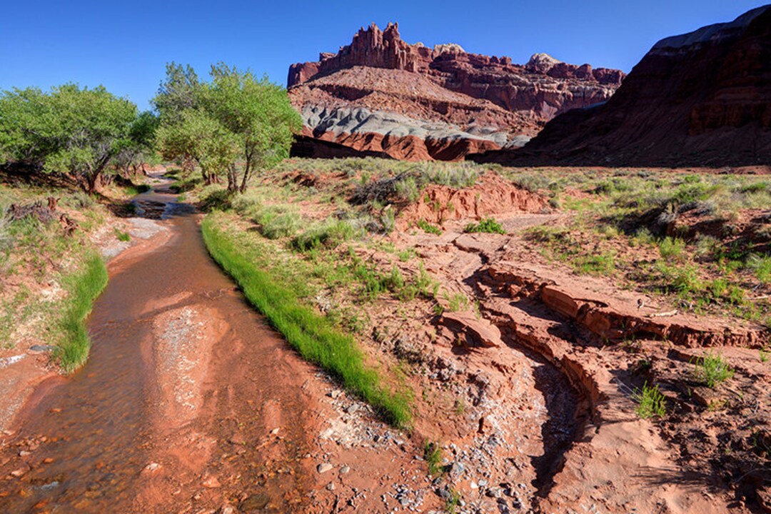 Capitol Reef, National Park Print, Sulphur Creek, Nature Art, Utah
