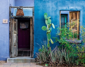 Southwest Art, Barrio Viejo, Tucson Door, Arizona Photography, Architecture Prints, Desert Wall Decor, Canvas Print, Metal Photo, Cactus