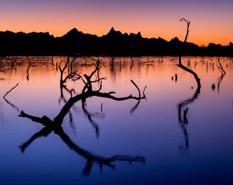 Topock Marsh, Mojave Desert, Colorado River, Lake Havasu, Needles, Arizona,  Wall Art, Sunrise, California, Southwest, Fine Art Print