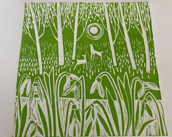 Snowdrop Woods, limited edition linocut artwork