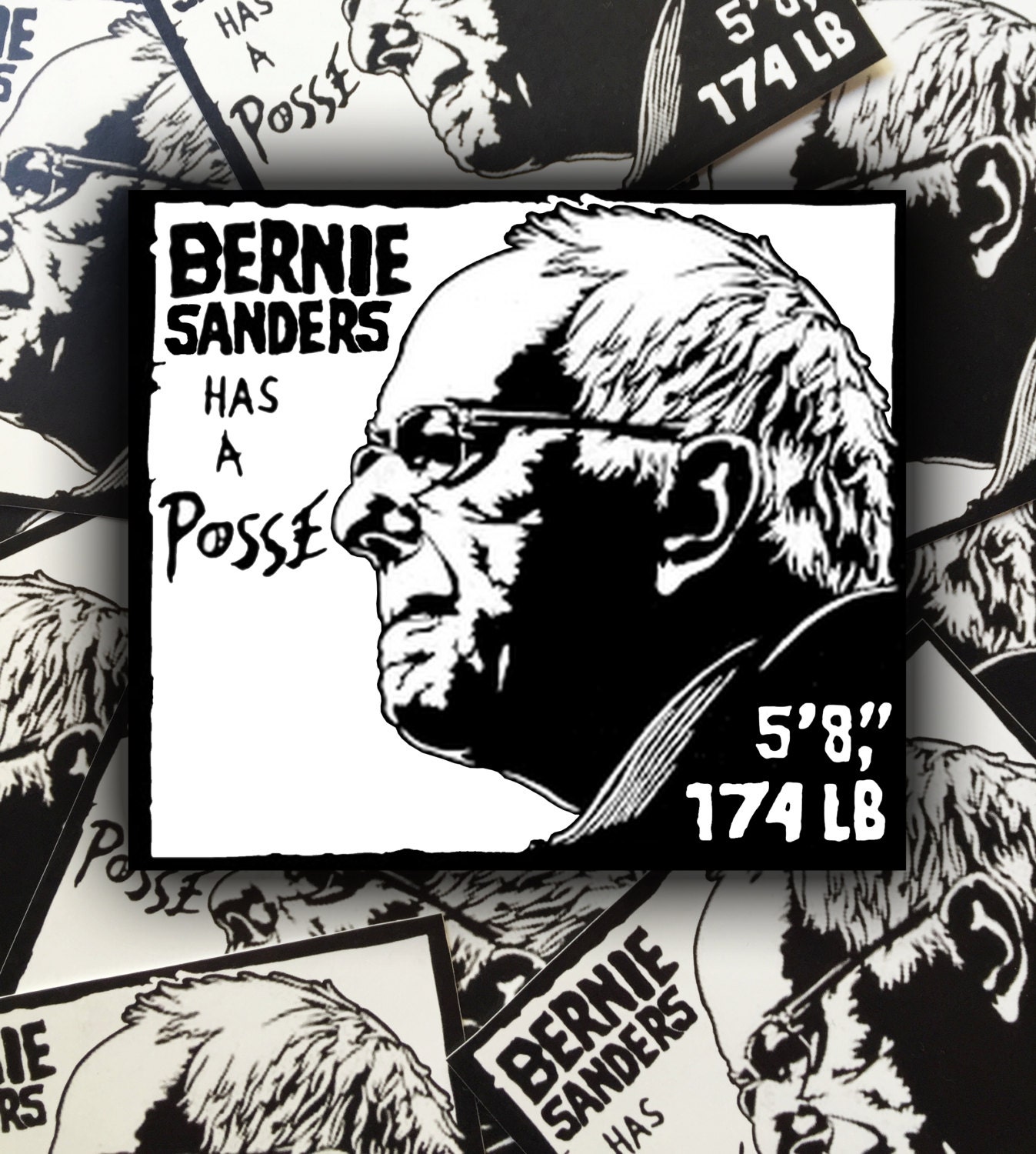 bernie pop vinyl