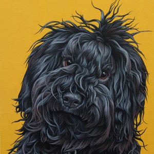 May include: A black dog with a shaggy coat and a serious expression. The dog is looking directly at the camera. The background is a solid yellow.