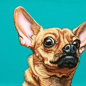 Dramatic Chihuahua Archival Art Print, Funny Skeptical Chihuahua Illustration, Affordable Chihuahua Art, Gift for Chihuahua Lover, Chiweenie image 1