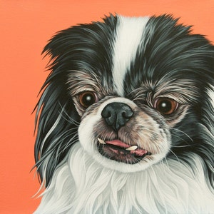 Custom Painted Pet Portrait, Japanese Chin Dog Painting, Funny Realistic Pet Portrait, Portrait of Senior Dog, Rescue Dog Art