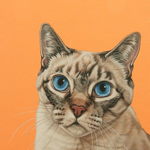 Custom Hand Painted Pet Portrait, Siamese Cat Painting, Siamese Mix Cat Portrait, Mother&#39;s Day Gift for Cat Lover, Siamese Cat Art