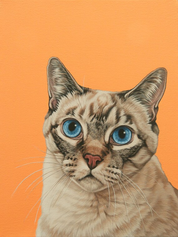 Tabby - Custom Mix Tabby - Custom Mix
