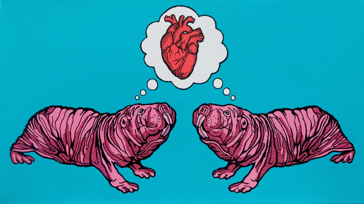 Pop Art Naked Mole Rat Print Funny First Anniversary Gift - Etsy