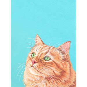 Flauschige Orange Katze Archiv Kunstdruck, Moderner Katzendruck, Geschenk für Katzenmama oder Katzenpapa, Erschwingliches Katzenportrait, Oranger Katzendruck