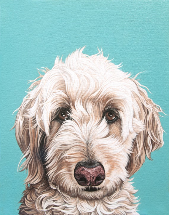 Original labradoodle cheap