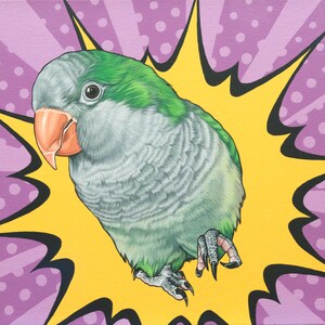 Pop Art Quaker Parrot Archival Print, Colorful Parrot Art for Home Office, Parrot Illustration, Gift for Parrot Lover, Monk Parakeet Art