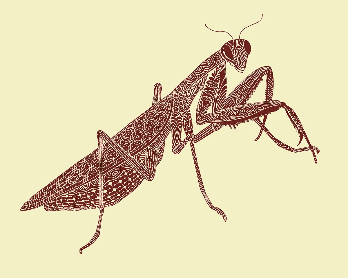 Praying Mantis Art - Wall Art - Art Print - Insect Art