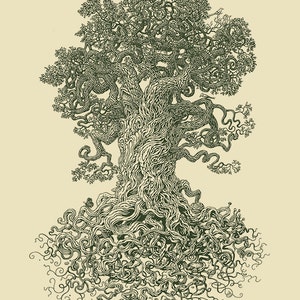 May include: A detailed black and white line drawing of a large tree with intricate branches and roots. The tree is drawn in a stylized, almost whimsical way, with the branches and roots forming a complex network.