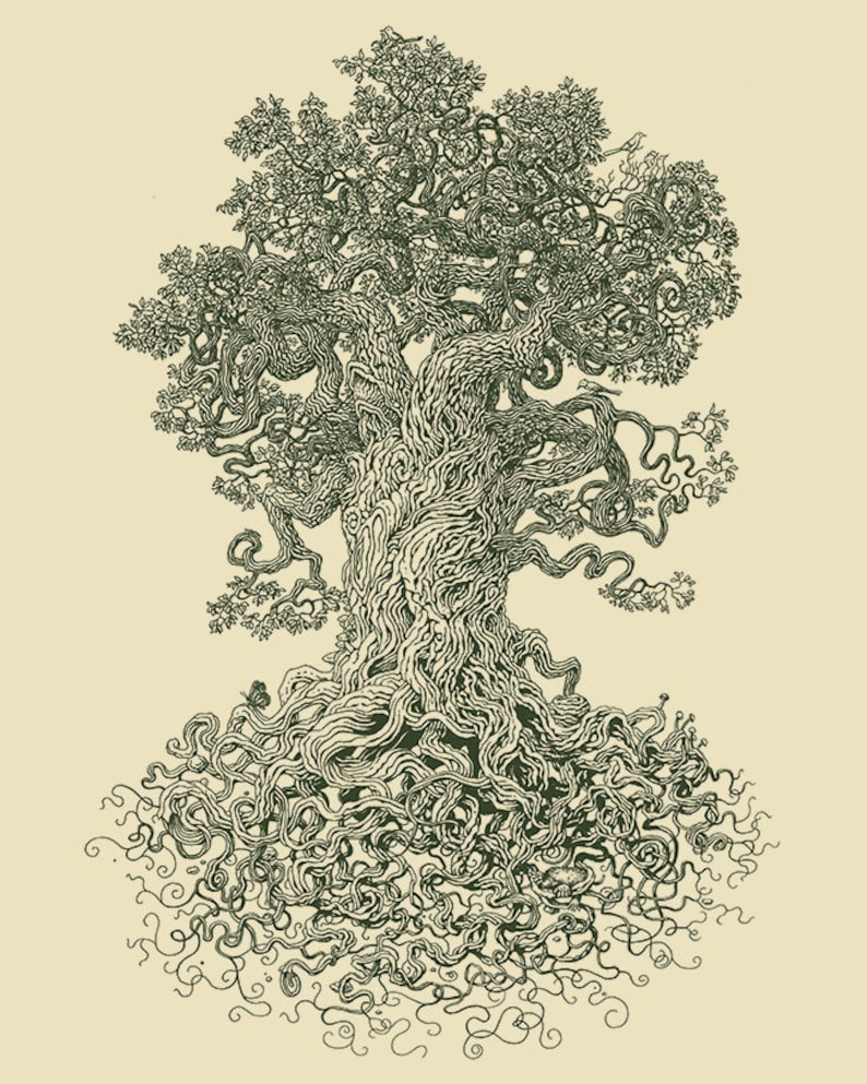May include: A detailed black and white line drawing of a large tree with intricate branches and roots. The tree is drawn in a stylized, almost whimsical way, with the branches and roots forming a complex network.
