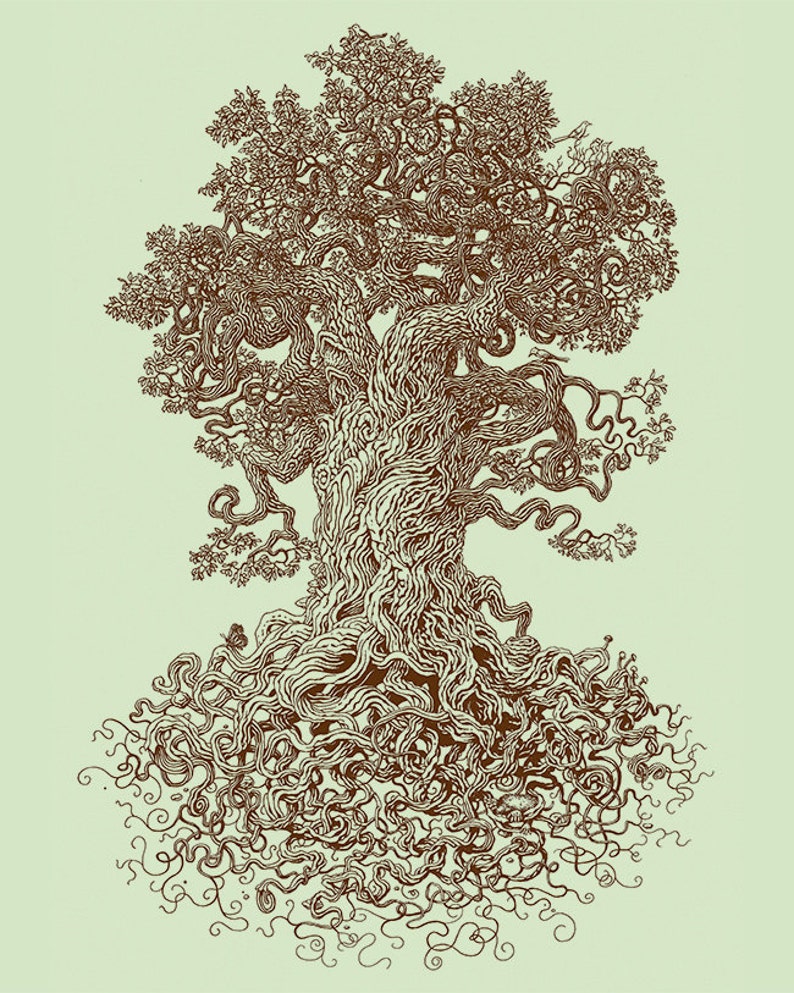 May include: A detailed line drawing of a large tree with intricate branches and roots. The tree is drawn in brown ink on a light green background.