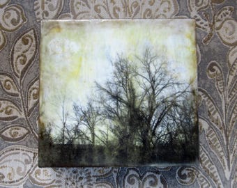Encaustic art, wall art - Backyard trees