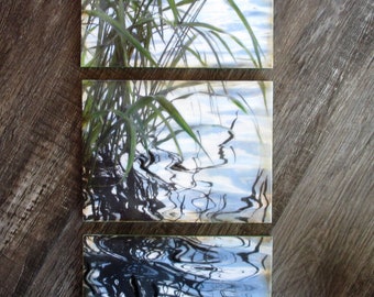 Encaustic art, wall art - Grasses tryptic