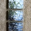 Trish McFerran Queen Bee Encaustic Art Ornament