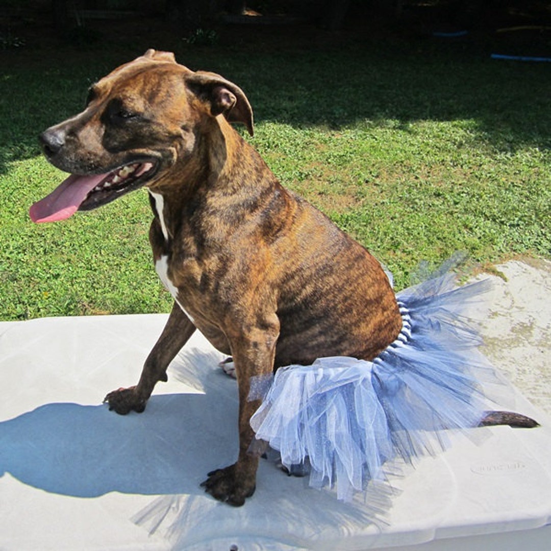 Black and Grey Dog Tutu Dog Costume Dog Accessory Dog - Etsy