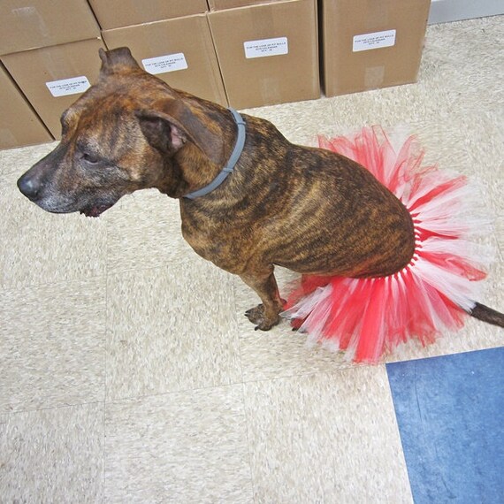 Dog Accessory Doggy Tutu Pretty Tutu Tutus For Large Dogs Dog Party Red