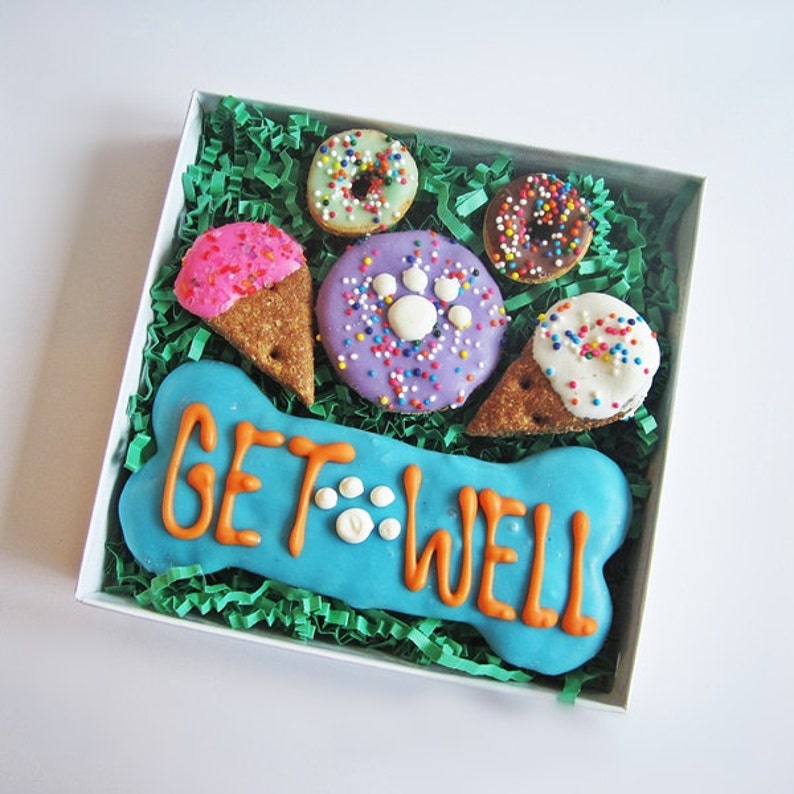 Get Well Dog Treat Gift Box Get Well Treats Get Well Soon Etsy