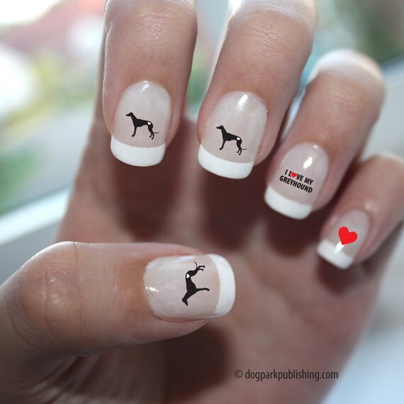 greyhound nails
