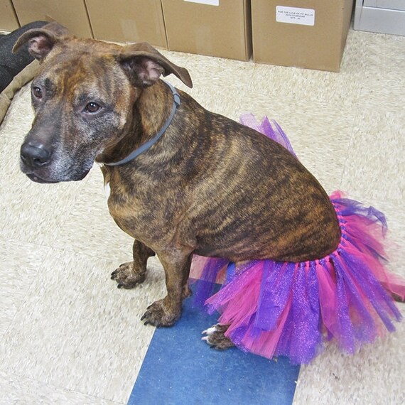 purple dog tutu