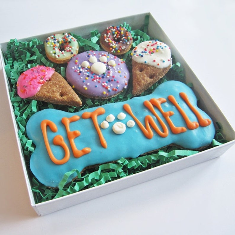 Get Well Dog Treat Gift Box Get Well Treats Get Well Soon Etsy
