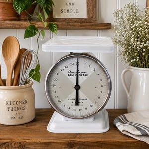 American Family Scale - Etsy