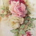 Darlene Salmond