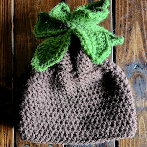 May include: A brown crocheted hat with a green crocheted flower on top.