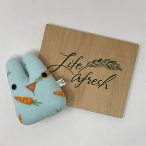 Bunny Plushie