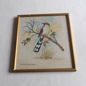 vintage original painting, yellow billed cuckoo, rain crow, storm crow bird, framed