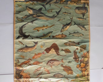 vintage Sea World school pull down chart Anagnostopoulos, Greece