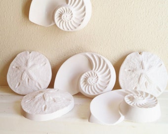 Sea shell wall sculptures, nautical wall decor, sand dollar, nautilus shell, beach house art