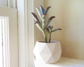 Geometric succulent planter, desk decor, cactus pot, dorm decor, housewarming gift, simple, modern, clean, minimalist