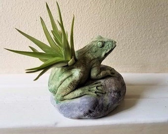 Frog gift, frog plant holder, toad, good luck gift, animal planter, frog candle holder, Mothers day gift, house warming gift, good luck