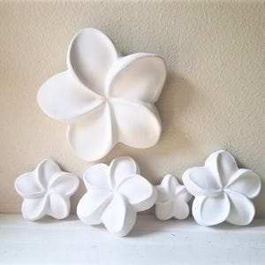 Plumeria Flower Wall Hanging: Tropical Beach House Decor, Set of 5