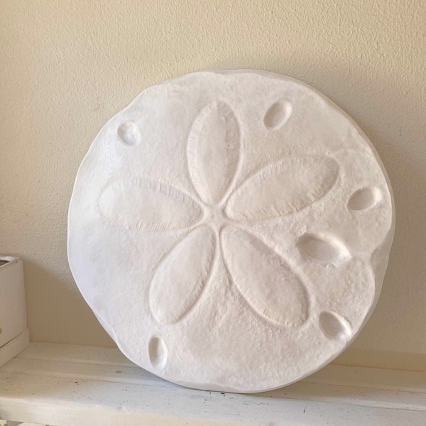 Sand Dollar Large Wall Art Etsy