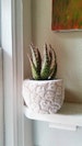 Pineapple planter, Pineapple home accent, pineapple pot, Succulent planter, tropical decor, beach house, housewarming gift