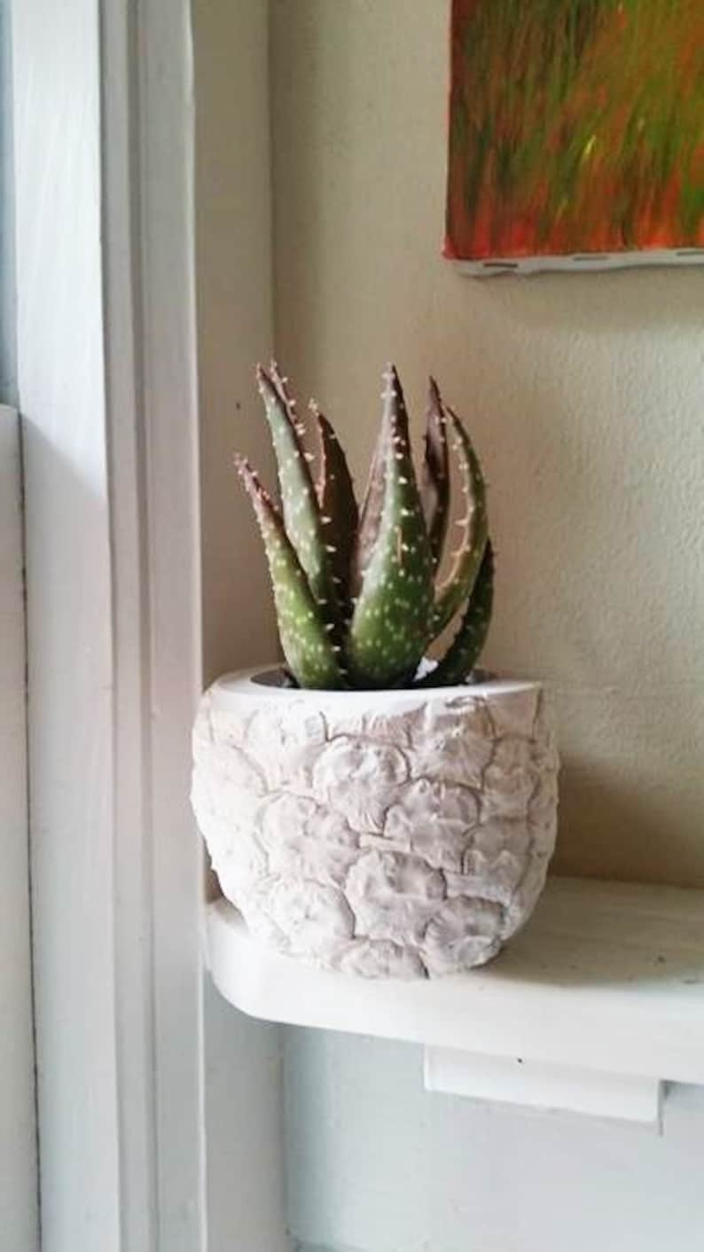 Pineapple shaped planter, Pineapple gift, pineapple decoration, Succulent planter, tropical decor, housewarming gift, hospitality image 1