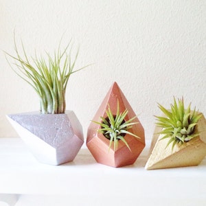 May include: Three geometric air plant holders in silver, copper, and gold. Each holder has a unique faceted design and contains a small air plant with green leaves. The holders are arranged on a white surface.