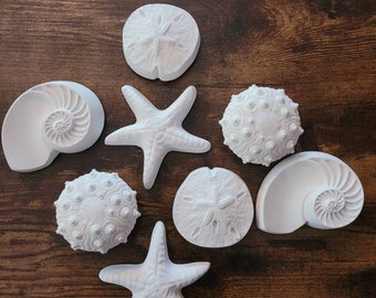 Nautical seashell art, sea shells, set of wall hanging starfish, sea urchin, beach house decor, mermaid decor, nautilus shell, beachy art