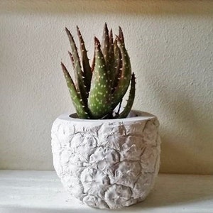 Pineapple shaped planter, Pineapple gift, pineapple decoration, Succulent planter, tropical decor, housewarming gift, hospitality image 3